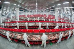 融合风险阐发取环节节制点系统(HACCP)、食物平安
