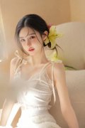 全面实党的二十大